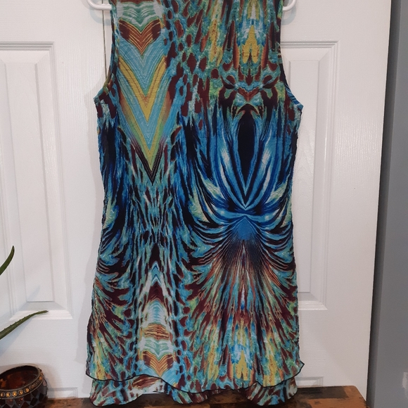 Initiatives Large Peacock Dress - Picture 4 of 8